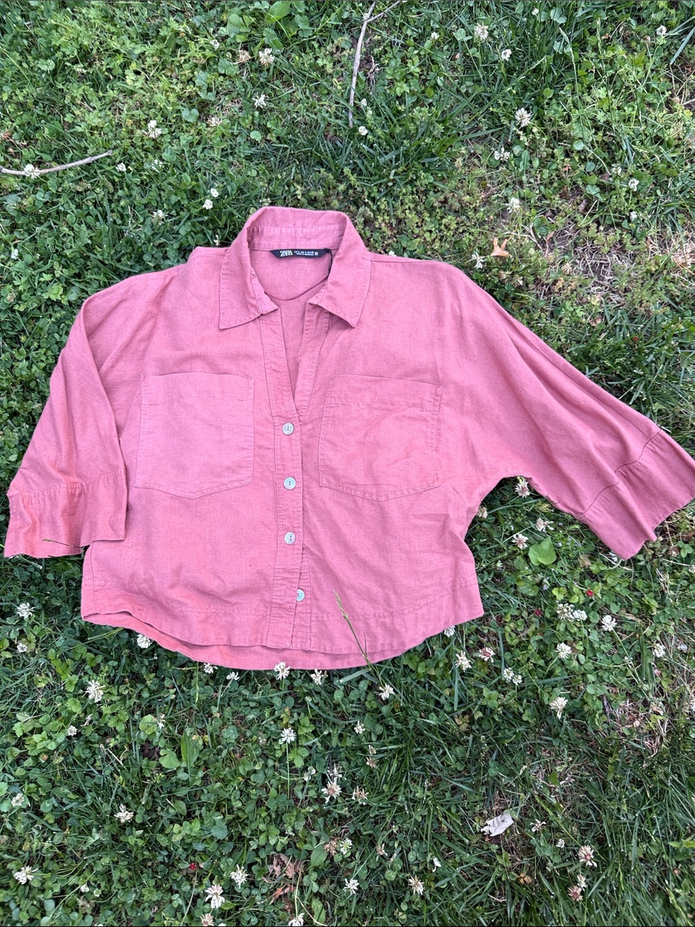 Zara Dusty Rose Button-Down Shirt